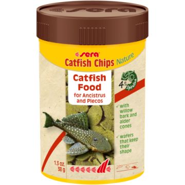 Sera Catfish chips Nature tabletter