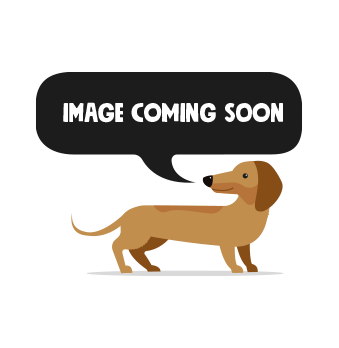 Royal Canin Chihuahua Adult hundmat 3kg