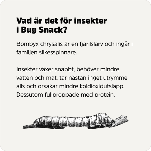 Vad är det för insekter i Bug Snack? Bombyx chrysalis är en fjärilslarv och ingår i familjen silkesspinnare. Insekter växer snabbt, behöver mindre vatten och mat, tar nästan inget utrymme alls och orsakar mindre koldioxidutsläpp. Dessutom fullproppade med protein.